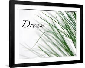 Dream: Reeds-Nicole Katano-Framed Photo