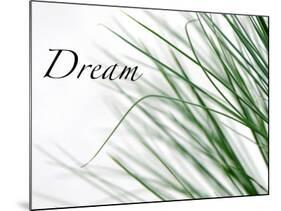 Dream: Reeds-Nicole Katano-Mounted Photo