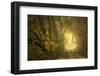 Dream’s Journey-David Lorenz Winston-Framed Art Print