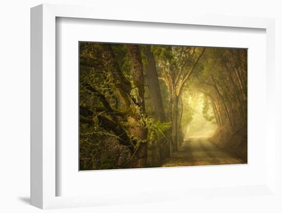 Dream’s Journey-David Lorenz Winston-Framed Art Print