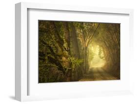 Dream’s Journey-David Lorenz Winston-Framed Art Print