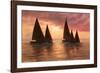 Dream Sails-Diane Romanello-Framed Photographic Print