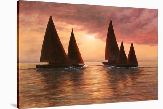 Dream Sails-Diane Romanello-Stretched Canvas