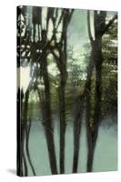 Dream Sequence II-Jennifer Goldberger-Stretched Canvas