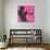 Dream Session: The All-Stars Play Miles Davis Classics (Pink Color Variation)-null-Art Print displayed on a wall
