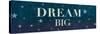 Dream Sparkle Shine Stars I-SD Graphics Studio-Stretched Canvas