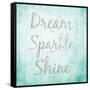 Dream, Sparkle, Shine-SD Graphics Studio-Framed Stretched Canvas