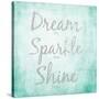 Dream, Sparkle, Shine-SD Graphics Studio-Stretched Canvas