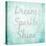 Dream, Sparkle, Shine-SD Graphics Studio-Stretched Canvas