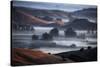 Dream State, Fog and Morning Light, Petaluma Hills, Sonoma County, Califormia-Vincent James-Stretched Canvas