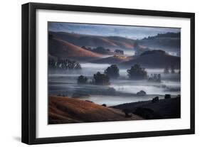 Dream State, Fog and Morning Light, Petaluma Hills, Sonoma County, Califormia-Vincent James-Framed Photographic Print