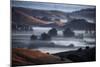 Dream State, Fog and Morning Light, Petaluma Hills, Sonoma County, Califormia-Vincent James-Mounted Photographic Print