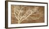 Dream Tree-Alessio Aprile-Framed Art Print