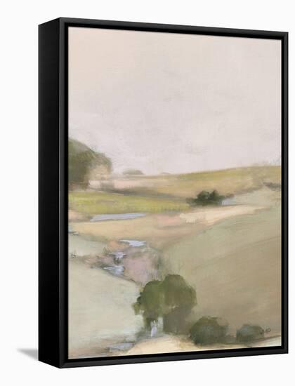 Dream Valley II Neutral Crop II-Julia Purinton-Framed Stretched Canvas