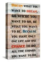 Dream What You Want To Dream-null-Stretched Canvas