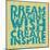 Dream Wish-Carole Stevens-Mounted Art Print