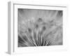 Dream-keren or-Framed Photographic Print