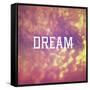 Dream-Vintage Skies-Framed Stretched Canvas