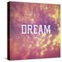 Dream-Vintage Skies-Stretched Canvas