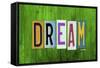 Dream-Design Turnpike-Framed Stretched Canvas