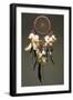 Dreamcatcher-haveseen-Framed Art Print