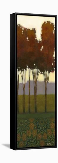 Dreamer's Grove II-Norman Wyatt Jr.-Framed Stretched Canvas