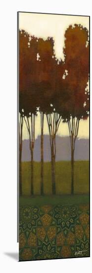 Dreamer's Grove II-Norman Wyatt Jr.-Mounted Art Print