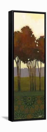 Dreamer's Grove III-Norman Wyatt Jr.-Framed Stretched Canvas