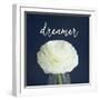 Dreamer-Susannah Tucker-Framed Art Print