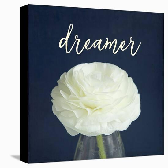 Dreamer-Susannah Tucker-Stretched Canvas