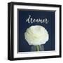 Dreamer-Susannah Tucker-Framed Art Print