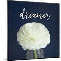 Dreamer-Susannah Tucker-Mounted Art Print