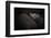 Dreamin'-Zdenek Vales-Framed Photographic Print