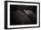 Dreamin'-Zdenek Vales-Framed Photographic Print