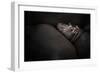 Dreamin'-Zdenek Vales-Framed Photographic Print