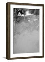 Dreamin’-Jon Bertelli-Framed Photographic Print