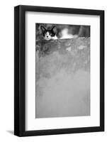 Dreamin’-Jon Bertelli-Framed Photographic Print