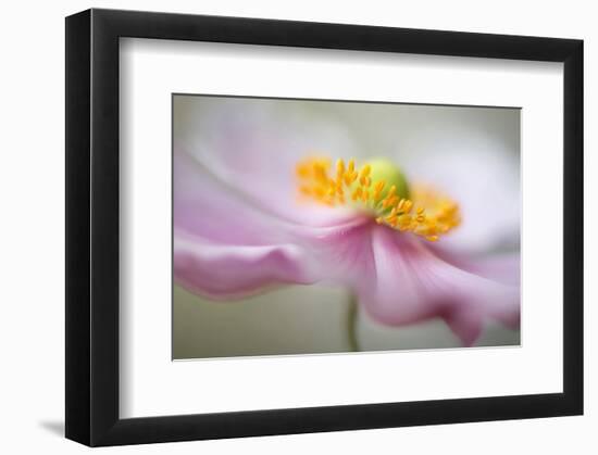 Dreaminess-null-Framed Art Print