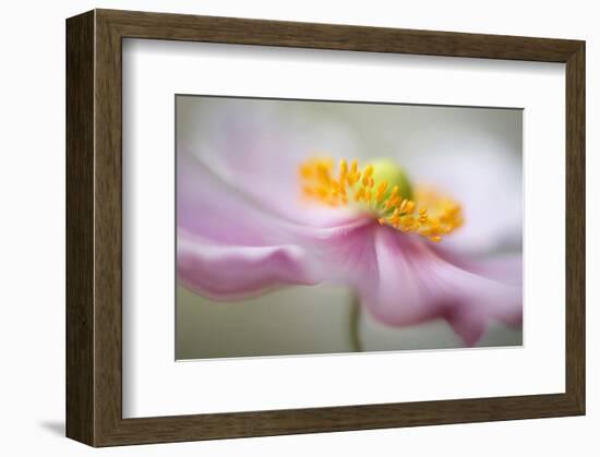 Dreaminess-null-Framed Art Print