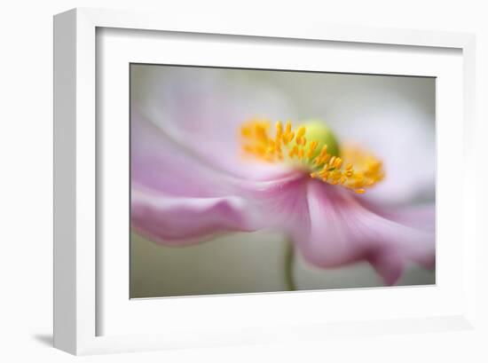 Dreaminess-null-Framed Art Print