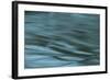 Dreaminess-Anthony Paladino-Framed Giclee Print