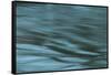 Dreaminess-Anthony Paladino-Framed Stretched Canvas