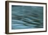 Dreaminess-Anthony Paladino-Framed Giclee Print