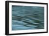 Dreaminess-Anthony Paladino-Framed Giclee Print