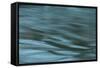 Dreaminess-Anthony Paladino-Framed Stretched Canvas