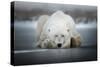 Dreaming Alone-Alberto Ghizzi Panizza-Stretched Canvas