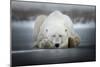 Dreaming Alone-Alberto Ghizzi Panizza-Mounted Giclee Print