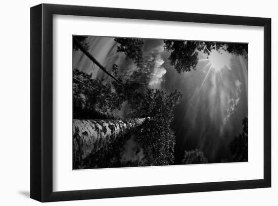 Dreaming Before the Thunder-null-Framed Art Print