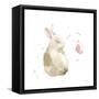 Dreaming Bunny II-Katrina Pete-Framed Stretched Canvas