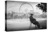Dreaming in Paris-Moises Levy-Stretched Canvas